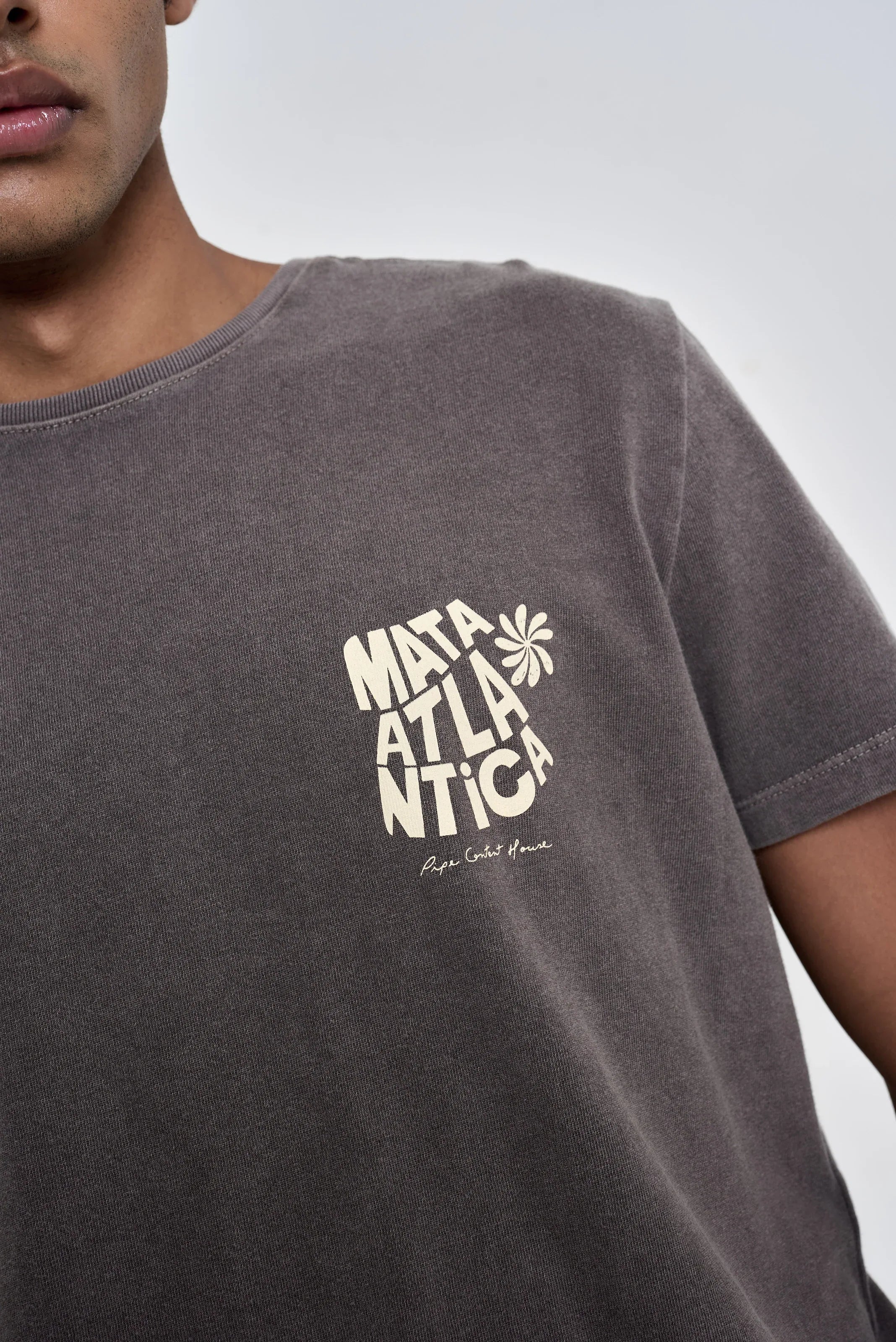 Camiseta Mata Atlântica Cinza