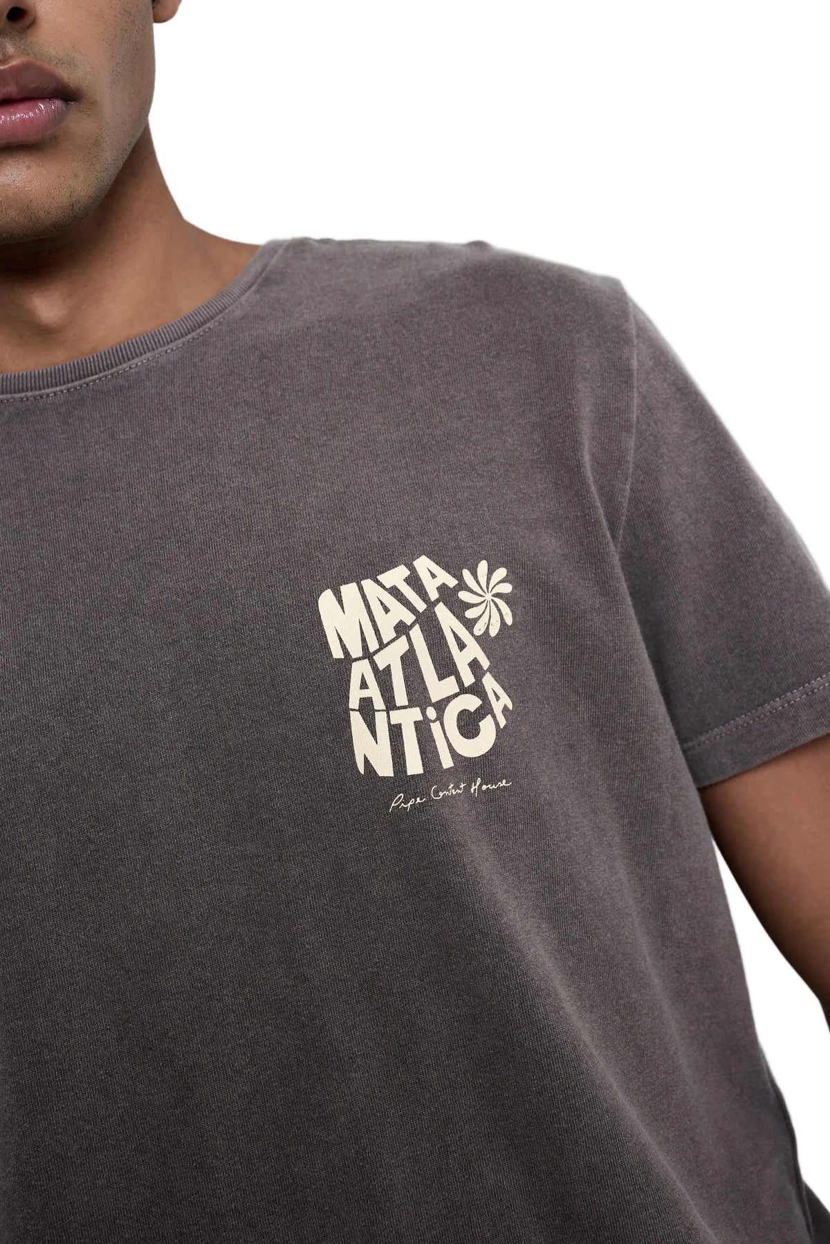 Camiseta Mata Atlântica Cinza