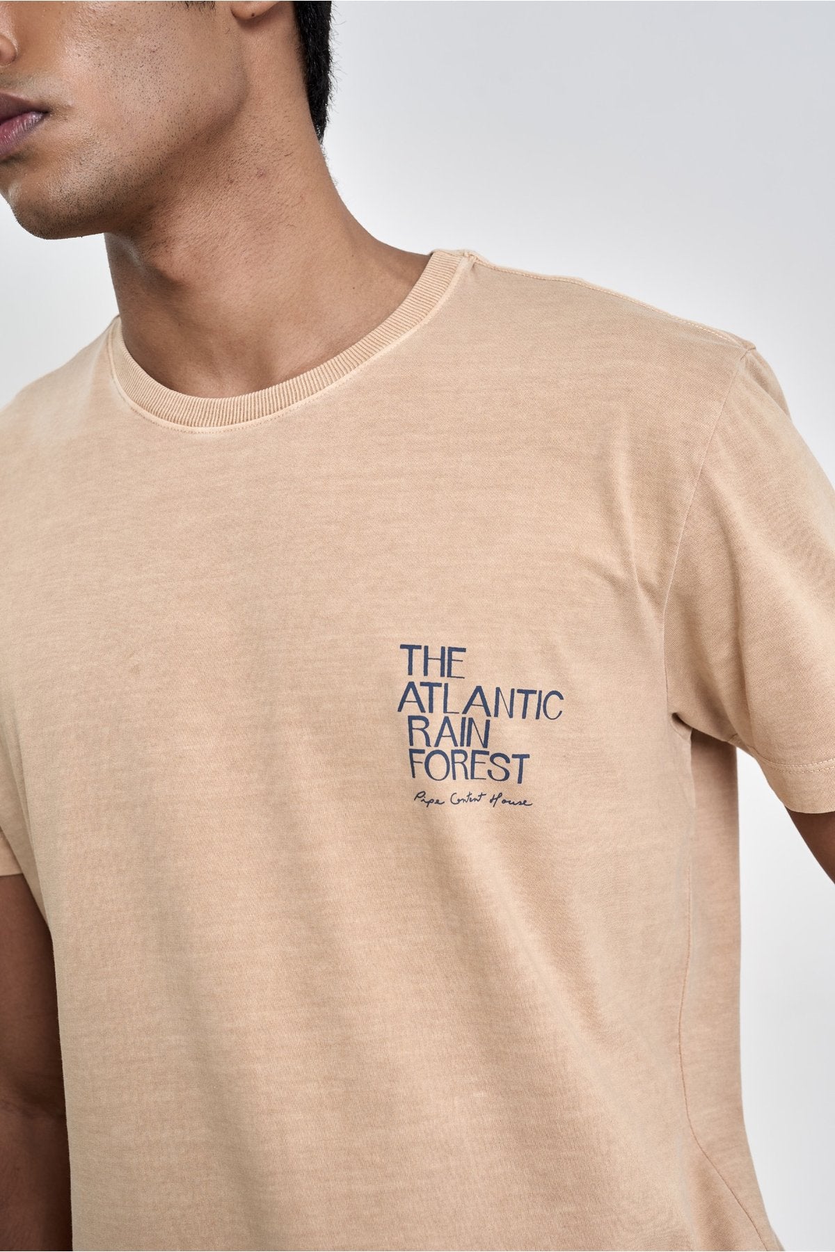 Camiseta Herb Life Marrom